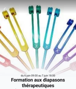 Formations aux diapasons thérapeutiques - session des 6 et 7 juin 2026