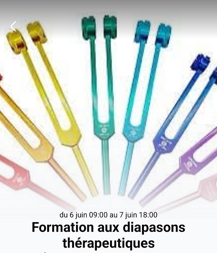 Formations aux diapasons thérapeutiques - session des 6 et 7 juin 2026