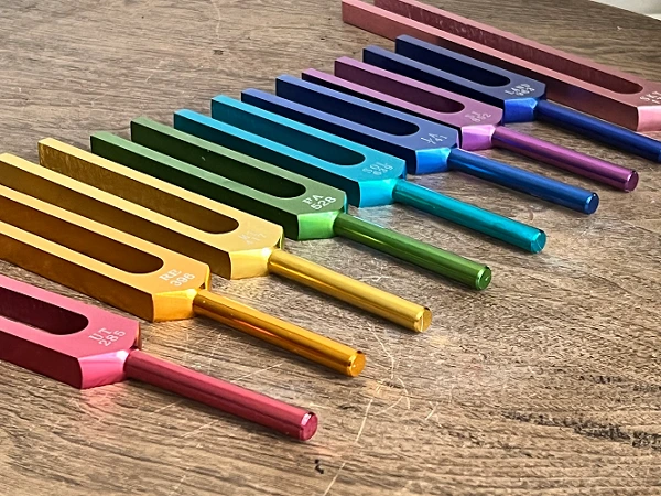 Photo de diapasons sonores non-lestés qui agissent sur les corps subtils (émotionnel et mental), avec des couleurs assorties aux chakras traités