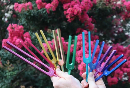 Soins - photo des diapasons colorés des fréquences sacrées utilisés pour le bien-être émotionnel et mental, avec les couleurs associées aux chakras