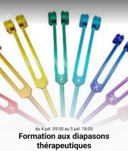 Formations aux diapasons thérapeutiques - session des 4 et 5 juillet 2026